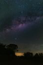 Amazing view of Milky Way on dark sky with stars over silhouette forest trees