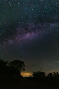 Amazing view of Milky Way on dark sky with stars over silhouette forest trees