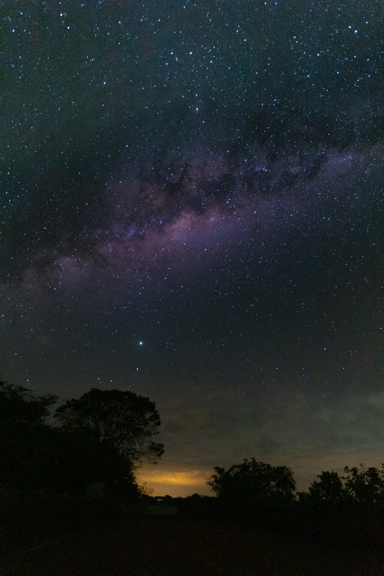 Glowing Starry Night Sky Over Forest