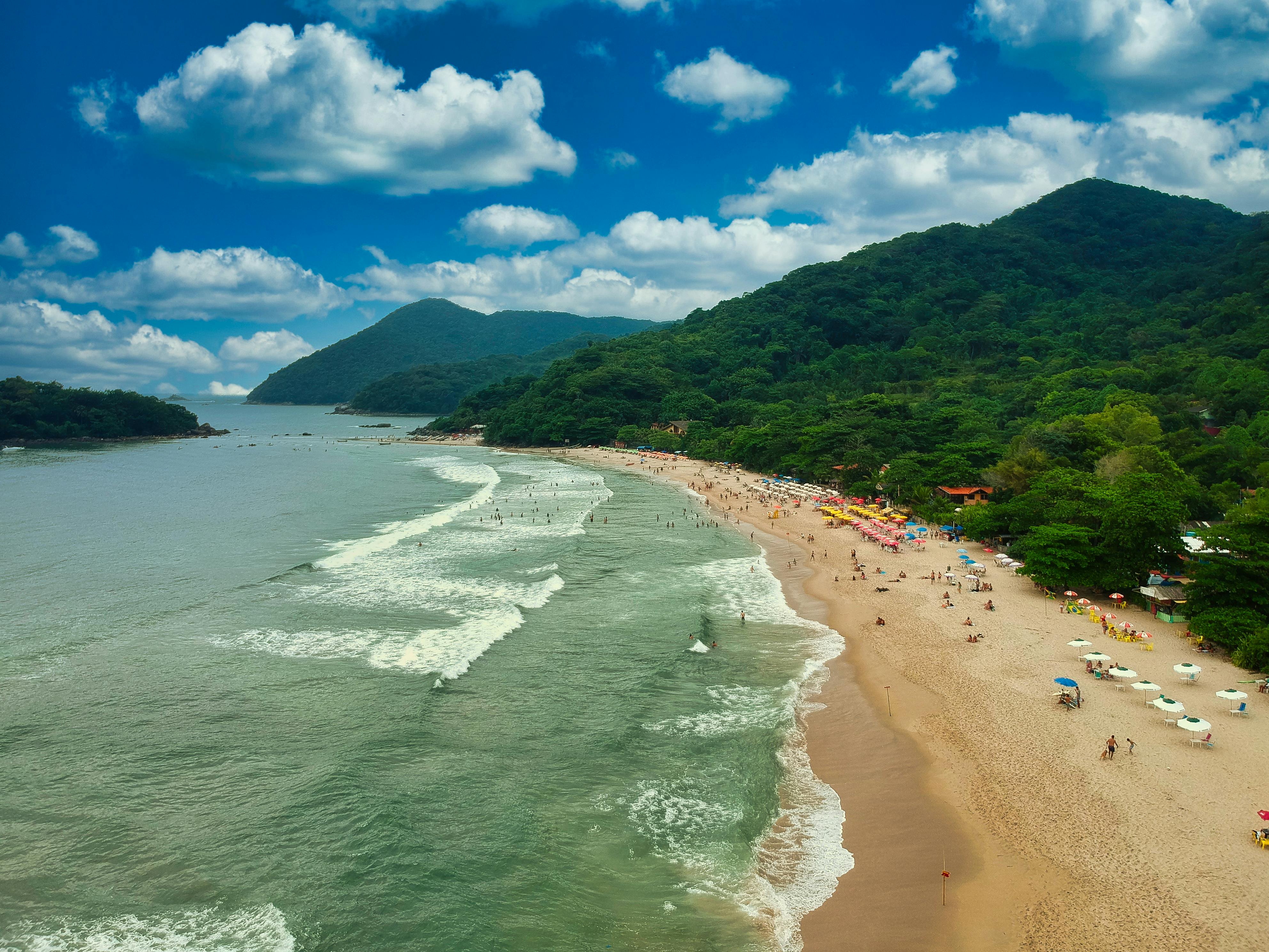 tourists on sandy beach in sunny day