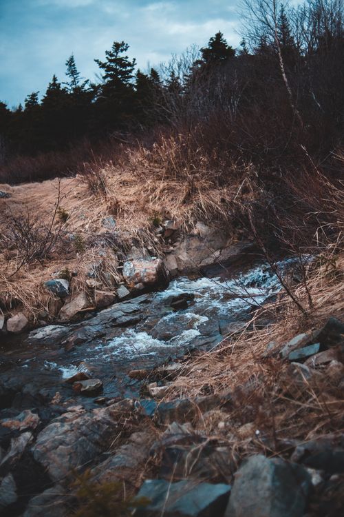 Free Narrow stream flowing through rocks near forest with rough terrain covered with dry grass under cloudy sky Stock Photo