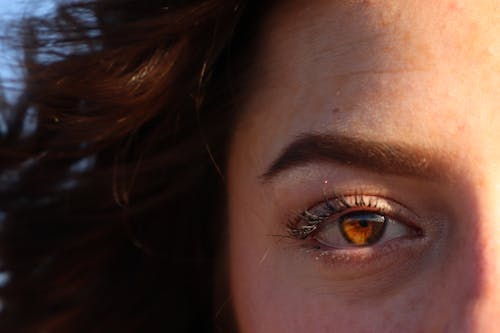 Free stock photo of beautiful eye, brown eye, eye Stock Photo