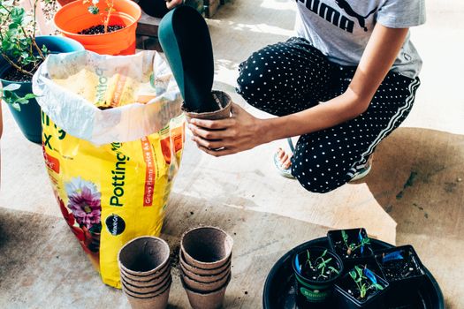 From above of unrecognizable woman in casual clothes pouring soil from big plastic bag in small pots while planting seedlings in hothouse on sunny day
