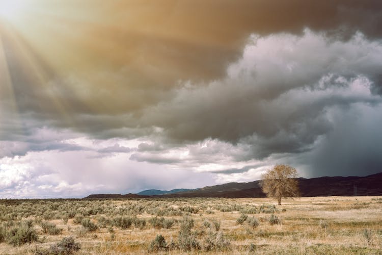 Scenic View Of Dry Hillside In Semi Desert Terrain