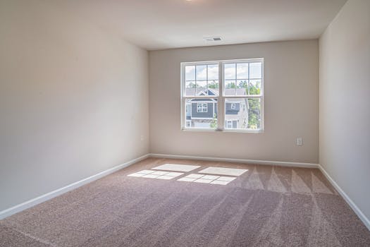 Sunlit empty room with carpet flooring, featuring a large window providing natural light.