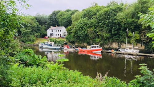 Foto stok gratis perahu ditambatkan, tepi sungai