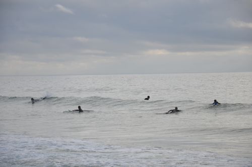 Free Silhouettes of determined surfers lying on surfboards and practicing tricks on waving seawater in early morning Stock Photo