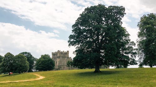 城堡, 绿地 的 免费素材图片