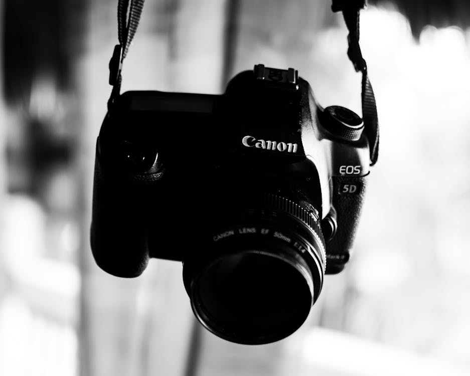 Professional photo camera hanging on strap · Free Stock Photo