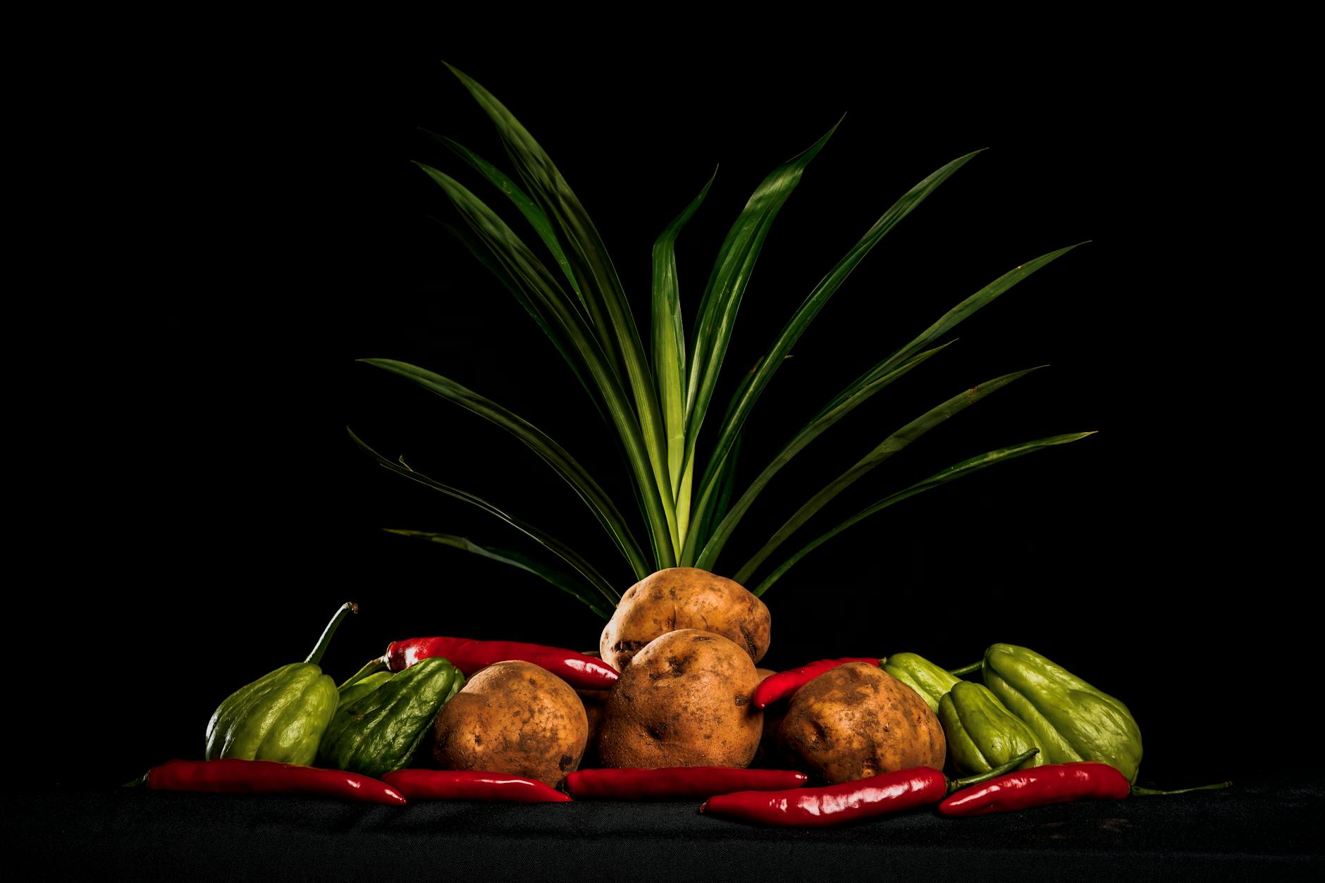 Keto Friendly Chayote and Peppers