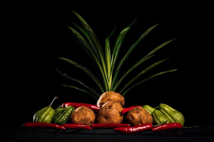 Traditional Mexican Veggies Arranged With Potatoes And Tropical Plant