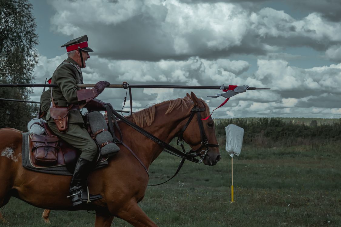 Soldier on a Horse · Free Stock Photo