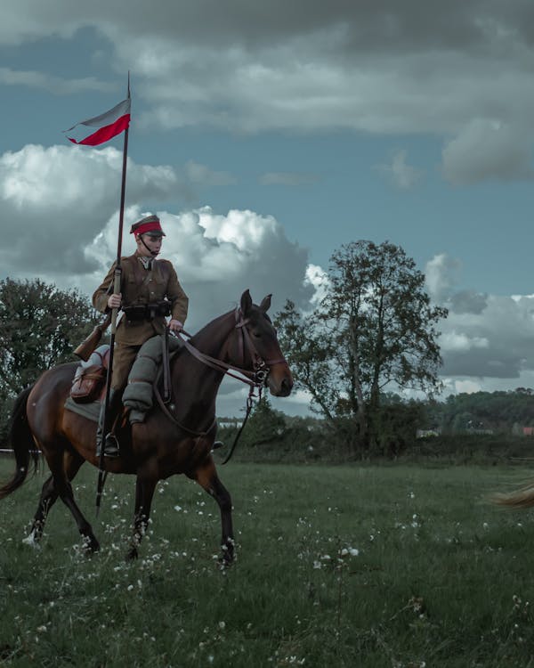 Man Riding Brown Horse Holding Red White and Blue Flag