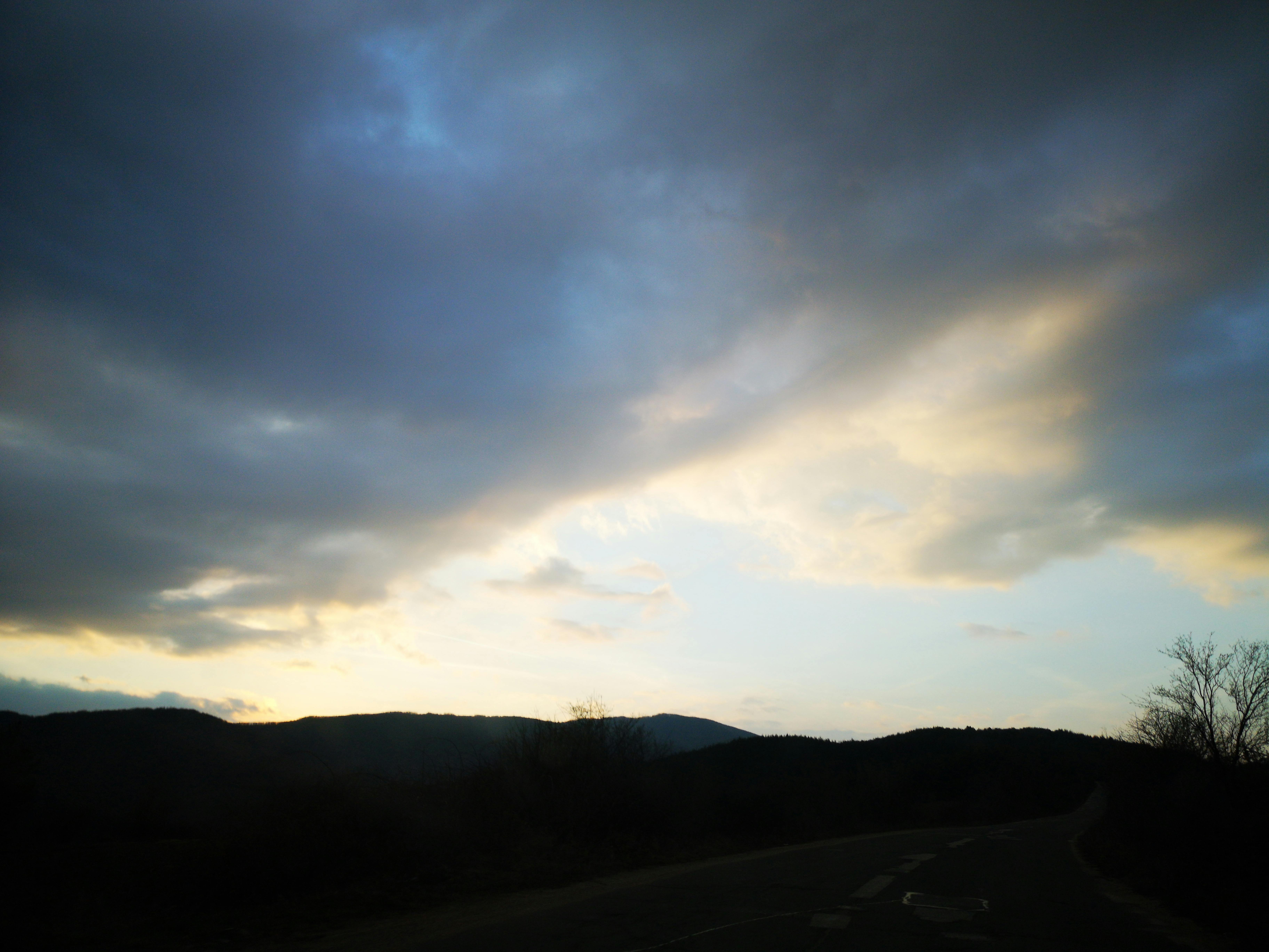 Portrait afro-entrepreneur