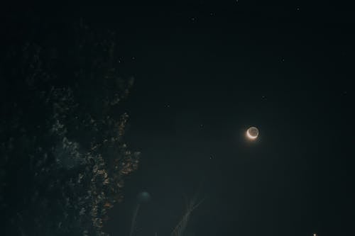 Ingyenes stockfotó hold, holdfény, vér hold témában