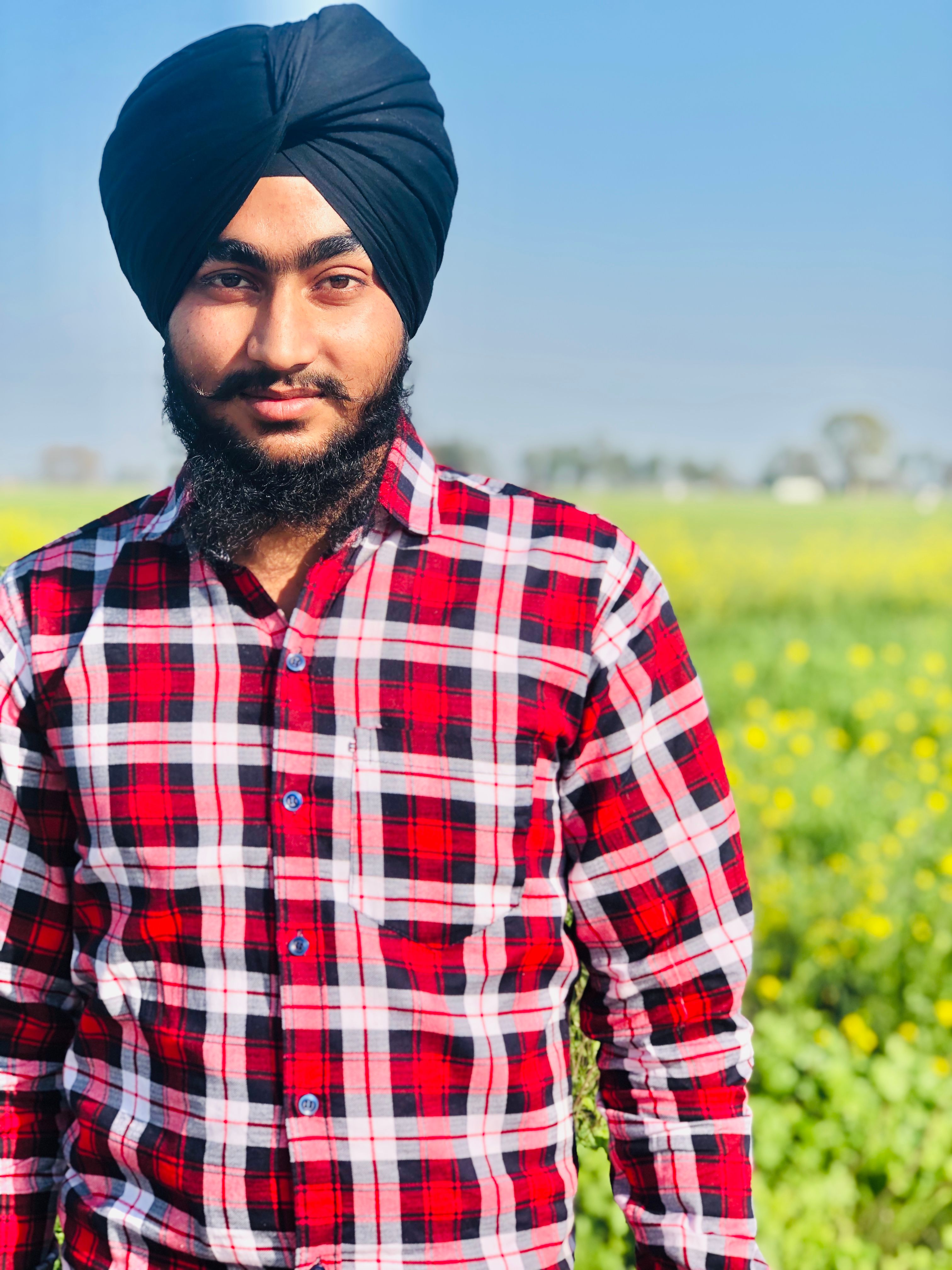Sikh man in colorful turban and plaid shirt poses in a sunlit mustard field.