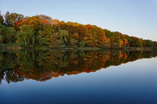 Free Tranquil autumn landscape with vibrant foliage reflected in a calm lake. Stock Photo