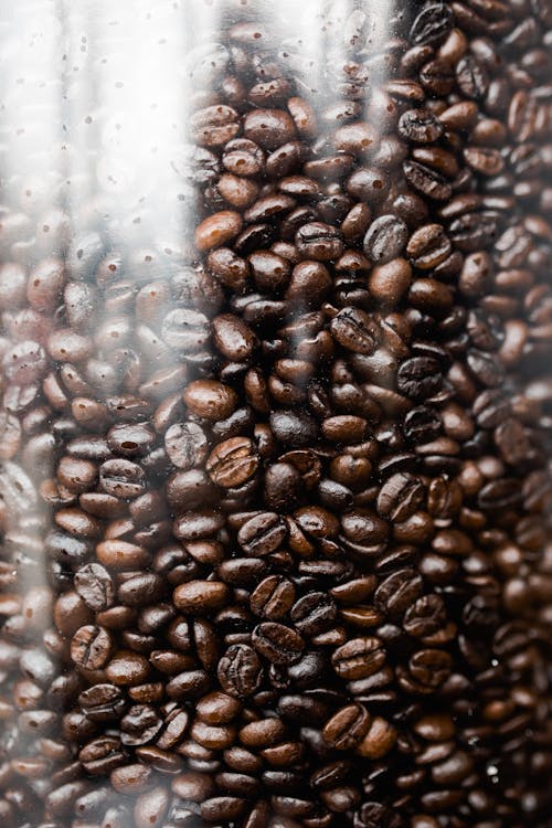 Free Coffee Beans on Clear Plastic Container Stock Photo
