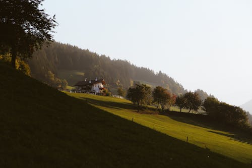 Kostenloses Stock Foto zu außerorts, draußen, feld