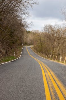 A tranquil countryside road winding through a leafless forest on an overcast day, creating a peaceful scene.