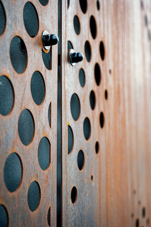 Wooden wardrobe door with round ornaments