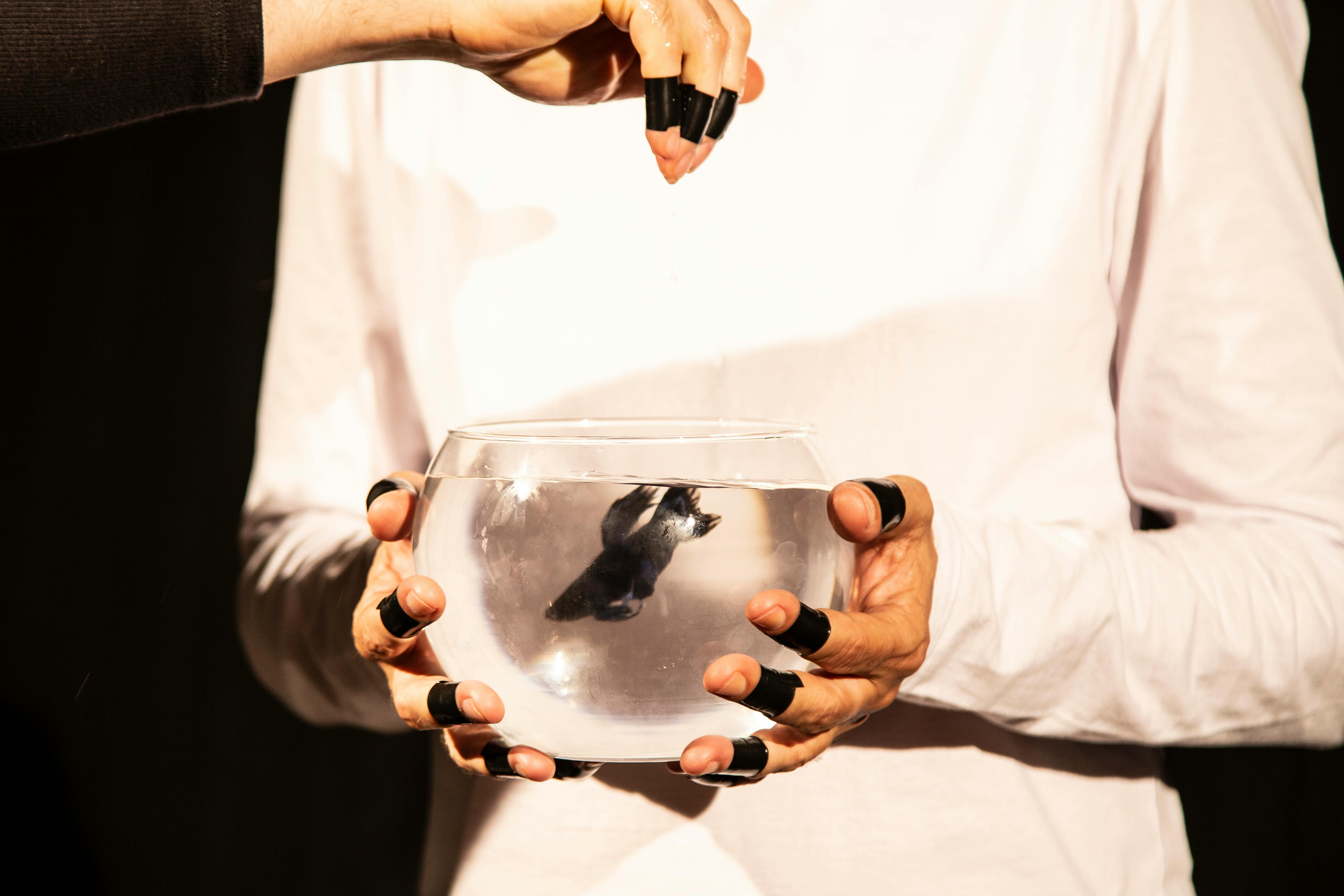 crop people holding fishbowl with black fish