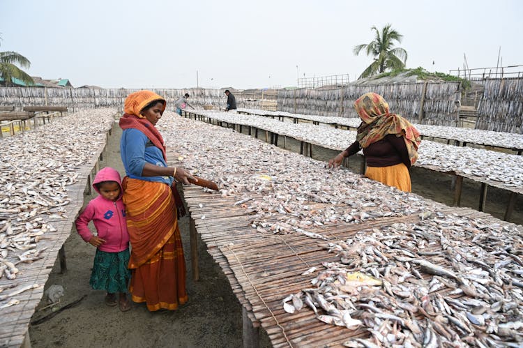 Women Drying Fish In Cox's Bazar