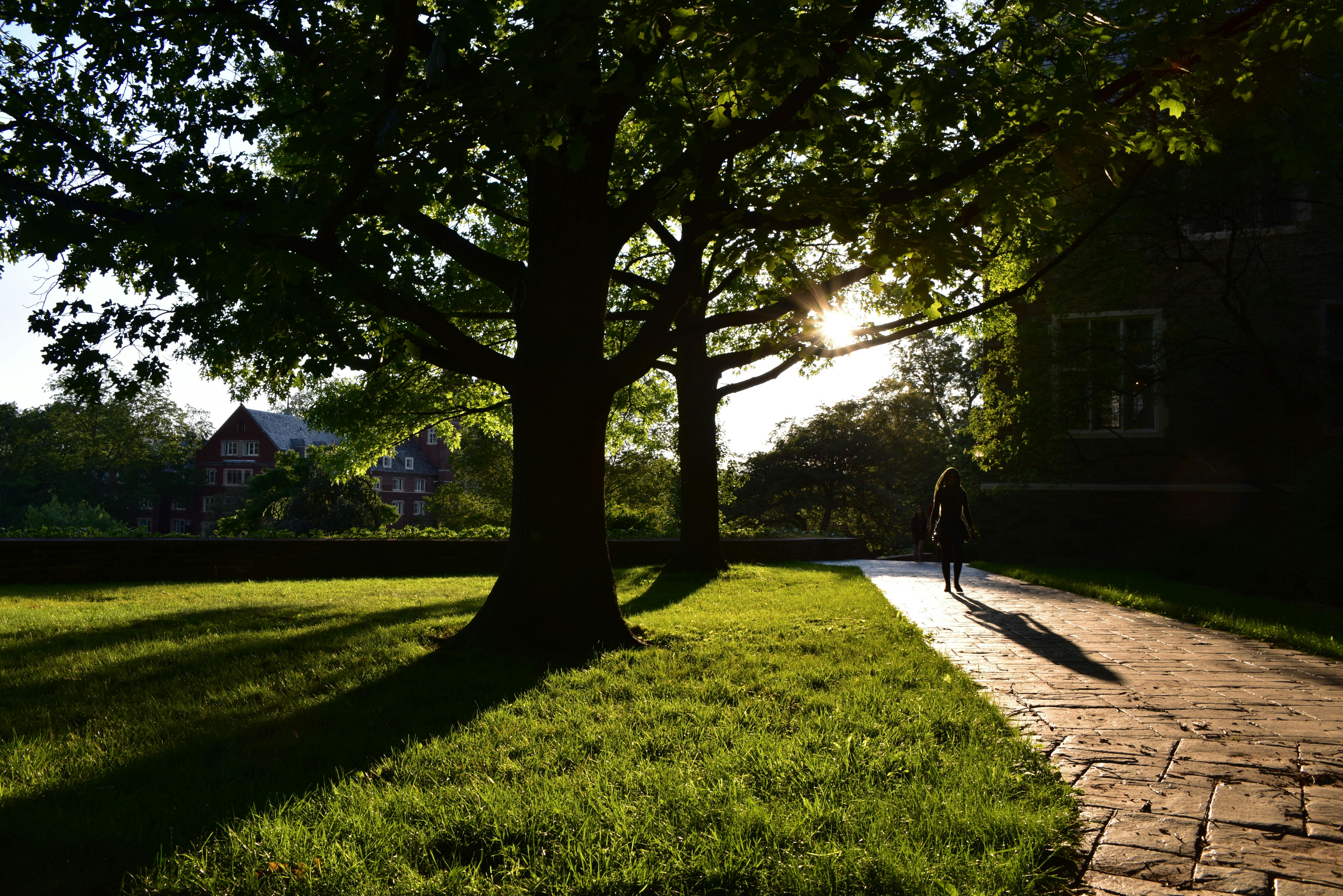 Penn State to offer MOOCs on FutureLearn online learning platform — Photo by David Yu on Pexels