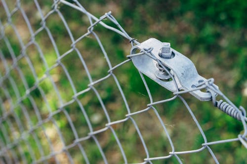 Free Selective Focus Photo of Chain-Link Fence Stock Photo