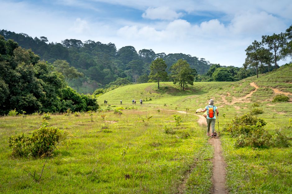 The Ultimate Hiking Guide: Exploring Nigeria's Trails