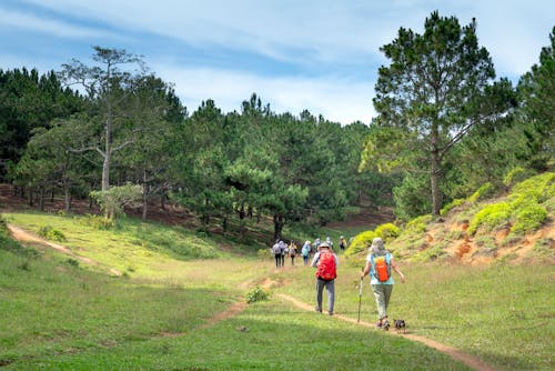 Group of tourists visiting green national park