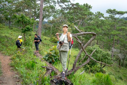 Free Full body positive Asian travelers in casual outfits visiting green national park on clear summer day Stock Photo