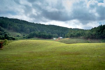 Green field with a lone hut, photo by Quang Nguyen Vinh on Pexels