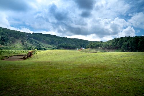 Free Amazing landscape of green pasture located in hilly terrain against cloudy sky on summer day Stock Photo