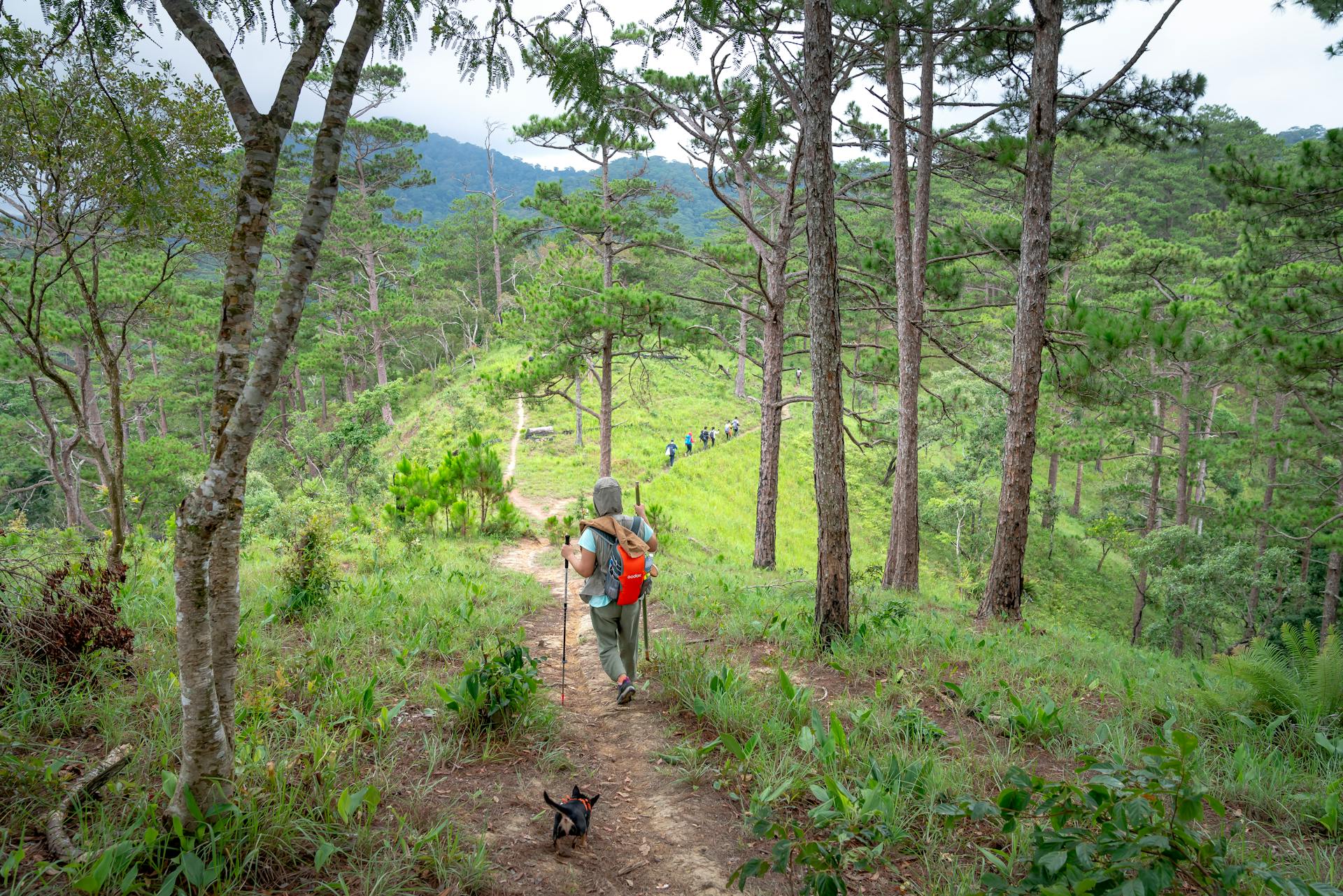 Tourist with dog traveling on mountains