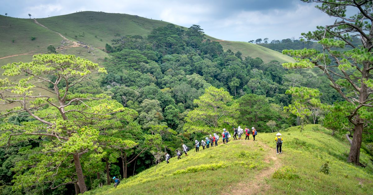 Voyage et tourisme sauvage : 7 conseils pour un séjour réussi