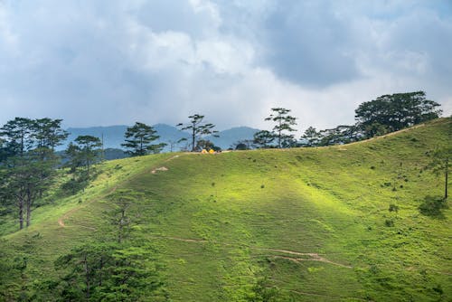 Green meadow on slope of mountain in highland