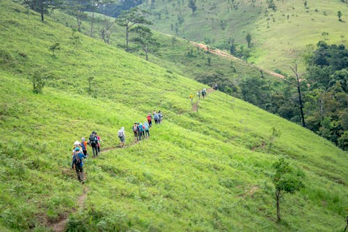 Back view of unrecognizable travelers walking on path through green grassy slope of mountain in highland on sunny summer day