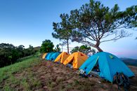 Blue and yellow camping tents located on ground near evergreen trees in mountainous terrain against cloudless sunset sky