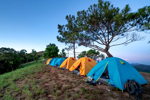 Blue and yellow camping tents located on ground near evergreen trees in mountainous terrain against cloudless sunset sky