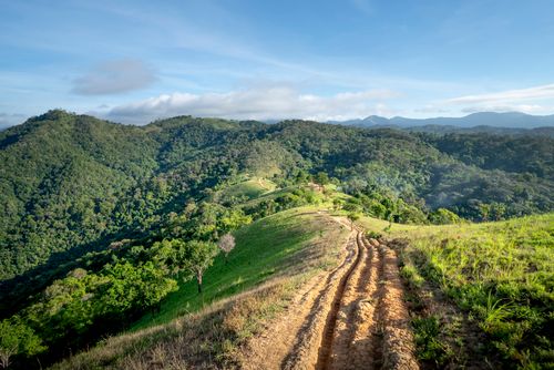 Free Spectacular scenery of narrow path on hilltop going amidst mountain ridge with lush green trees against blue sky on sunny day Stock Photo