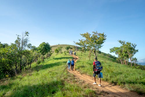 Foto profissional grátis de ação, alcance, andar