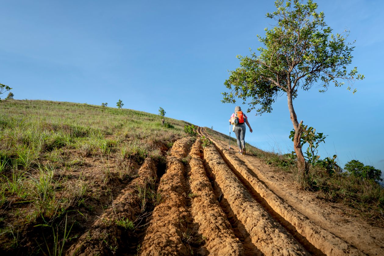 Woman hiker ascending a green mountain trail on a sunny day