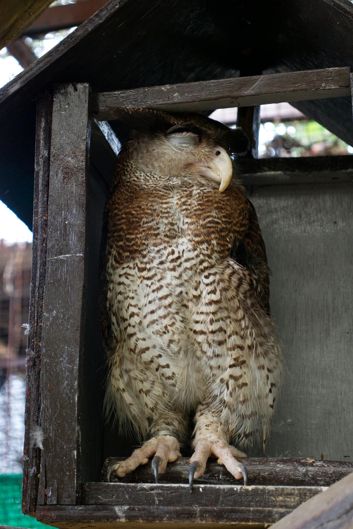 Mother hugging her teenage child while watching the sunset
