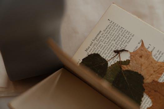 一本打开的书与秋叶的特写，营造出宁静而怀旧的氛围