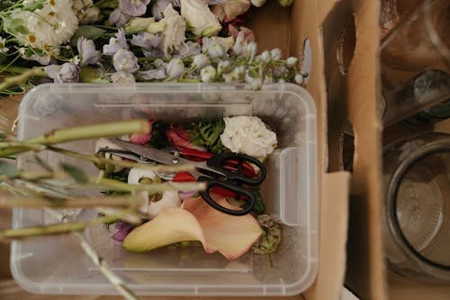 Sliced Vegetables in Brown Cardboard Box