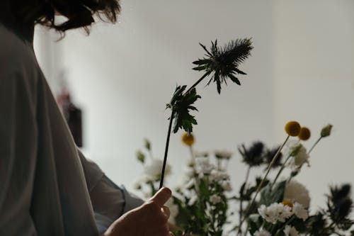 Bezpłatne Darmowe zdjęcie z galerii z bukiet, bukiet kwiatów, chryzantema Zdjęcie z galerii