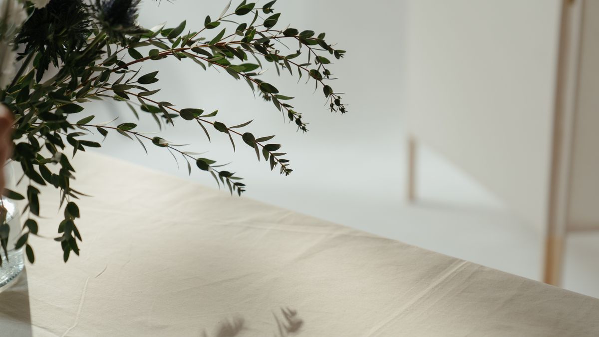 Les tendances de décoration intérieure écoresponsable en 2026