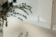 Green Plant on White Table