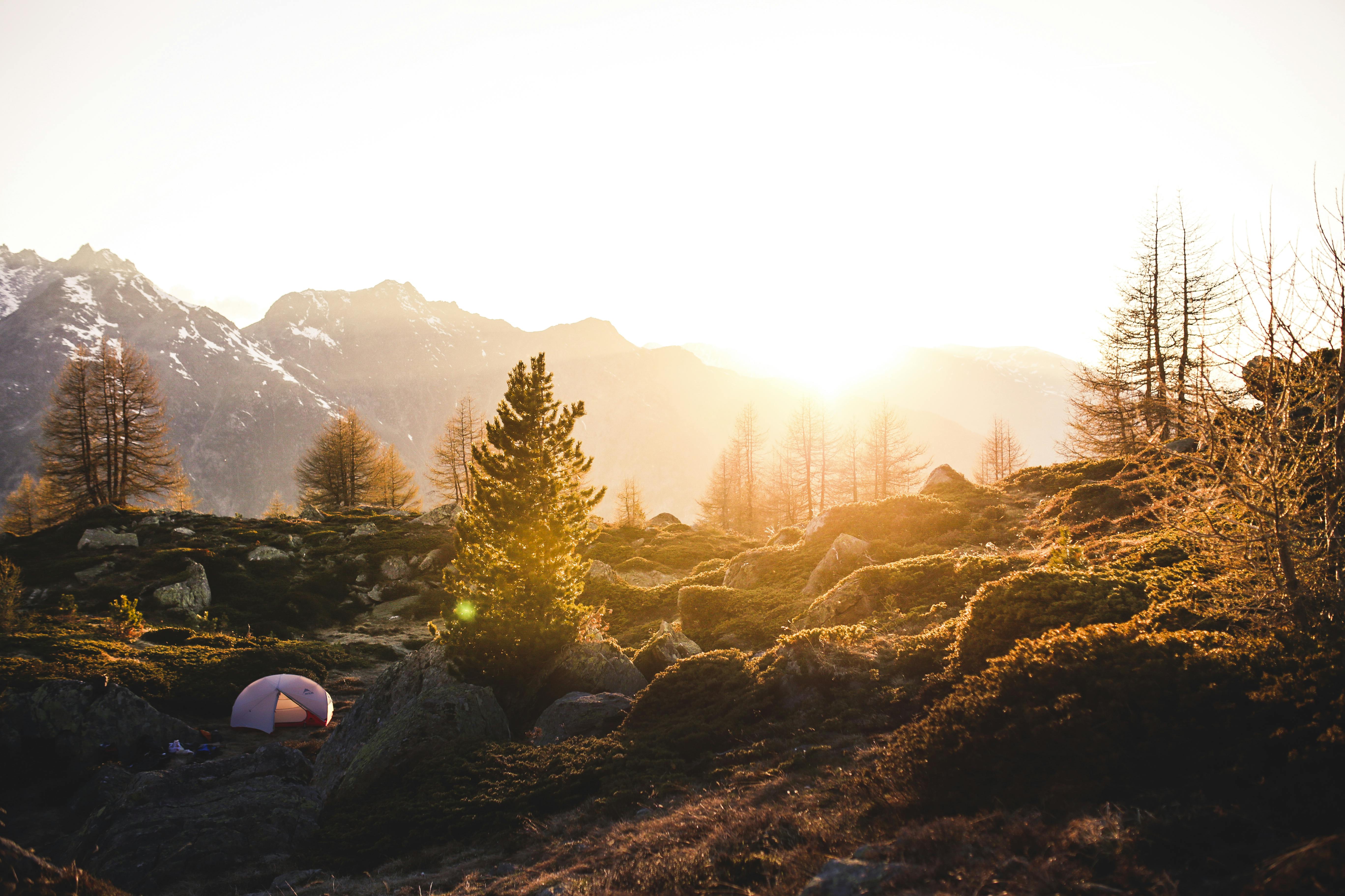 Tent Near Tree · Free Stock Photo